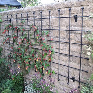 Metal Garden Wall Trellis Panels Steel Rod Lattice